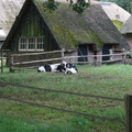 DSC06113